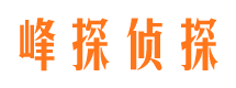 铁岭市场调查